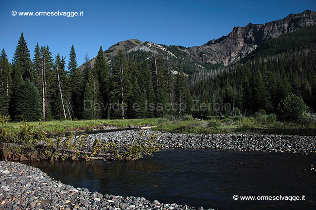 192 Lamar river IMG 0336